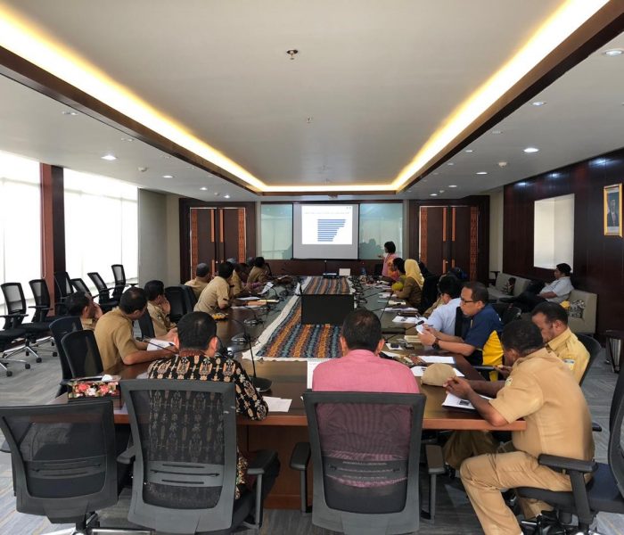 FGD Tingkat Provinsi di Jayapura (Mei 2019)