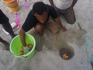 Pelatihan_Belajar Memindahkan Sarang Dengan Bola Ping Pong (Foto : Tim Abun Monitoring)
