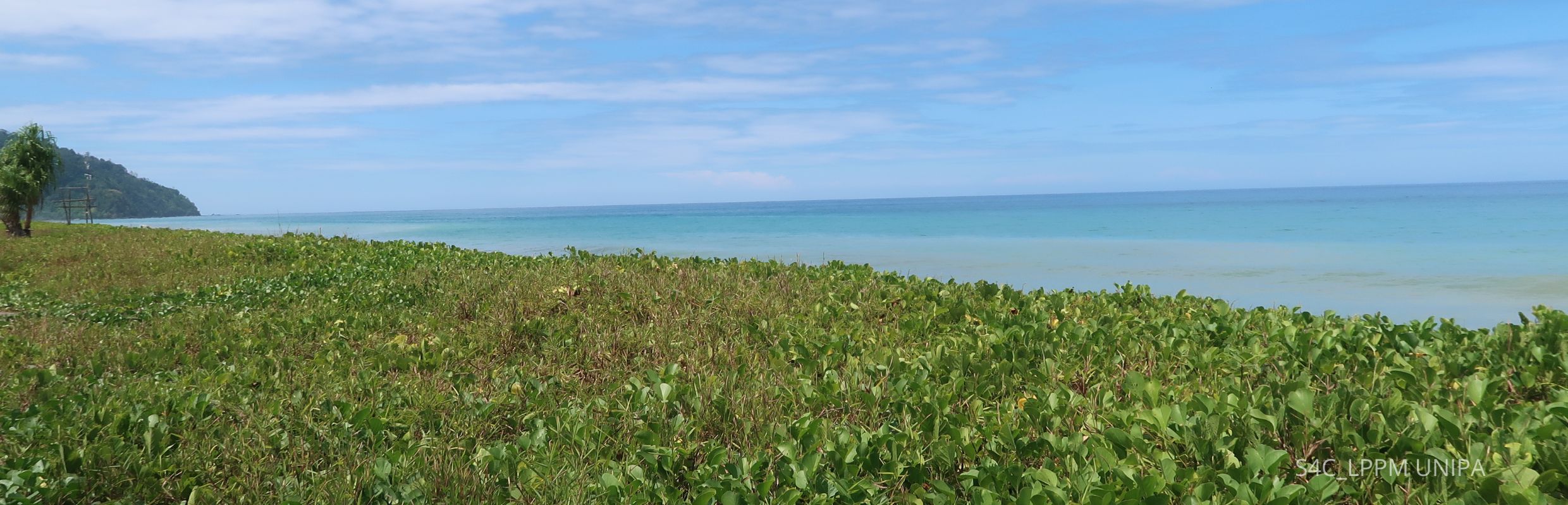 Header Perjalanan dan Awal Kerja Tim Pemantauan Penyu Di Musim Peneluran