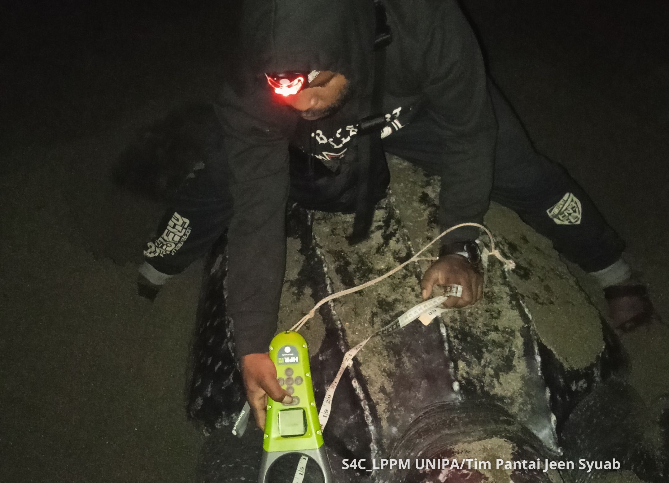 Danyel sedang memindai PIT tag pada penyu