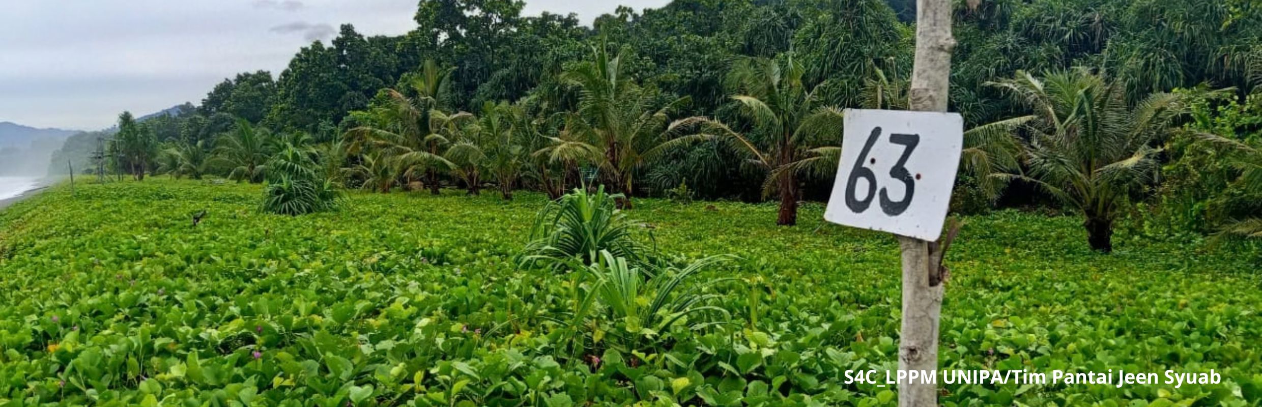 Header - Presentasi di Seminar Internasional Flora Malesiana
