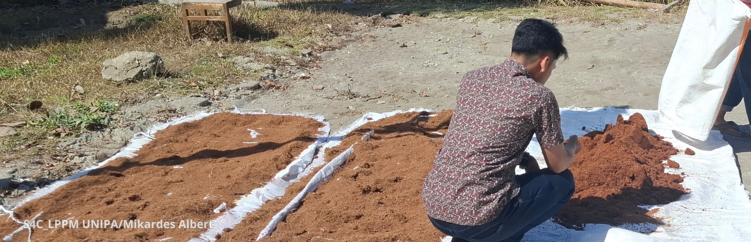 Penjemuran Cocopeat (2)